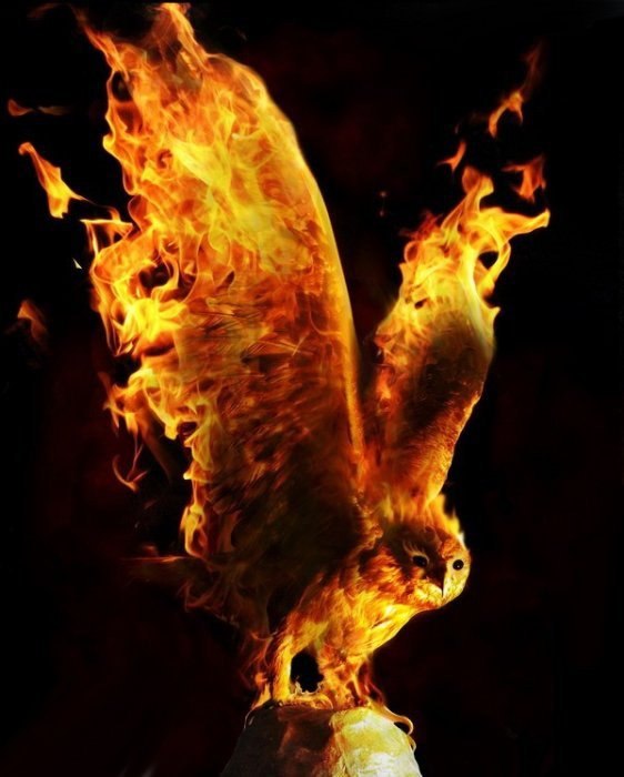 Николай Махота | Николаев