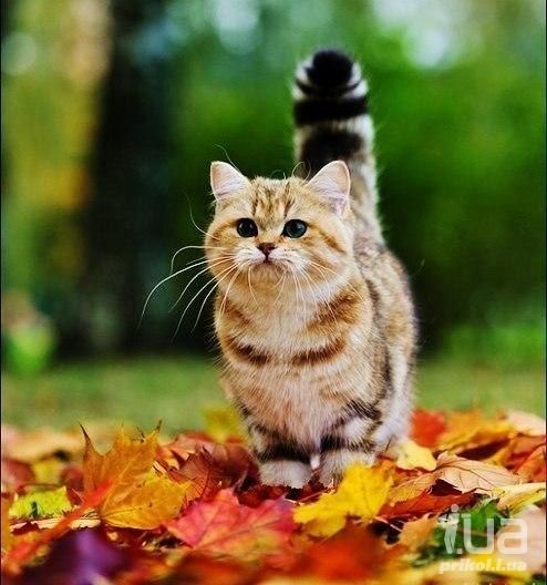 Андрей Логачёв | Винница