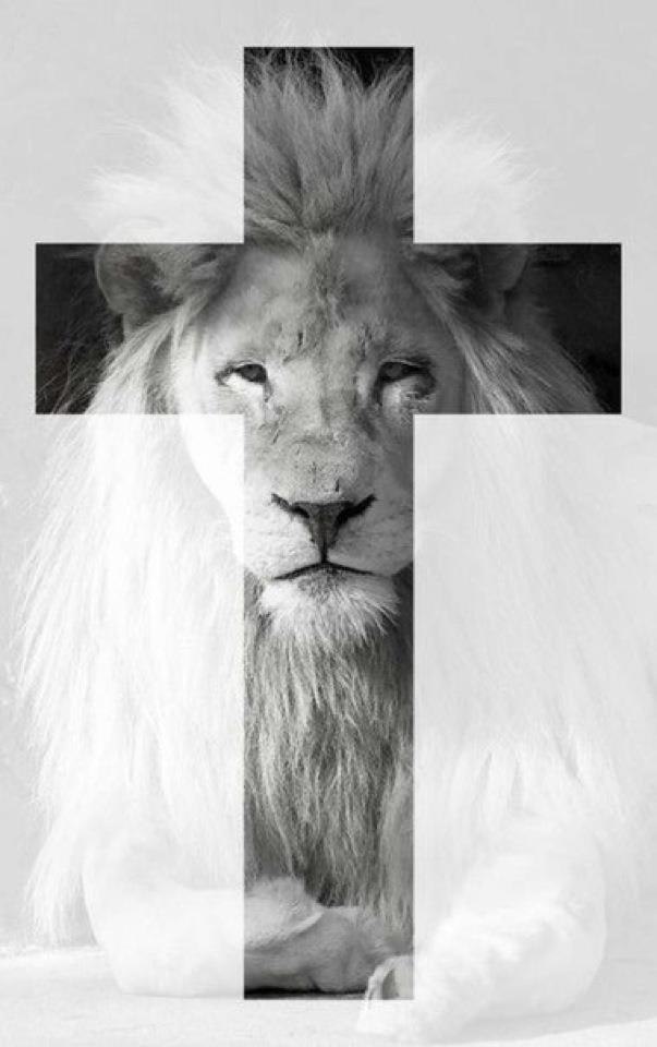 Антон Мальков ✞ | Санкт-Петербург