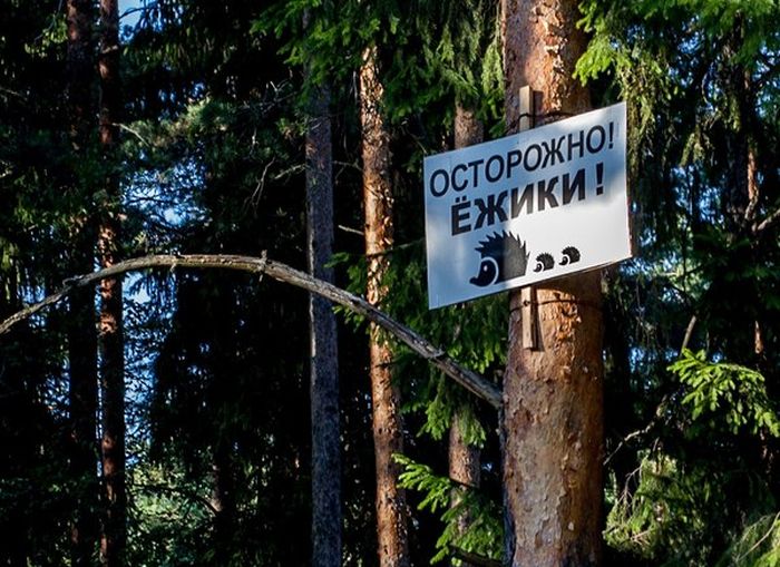Руслан Талипов | Ижевск