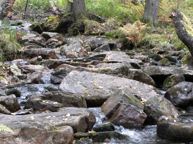 Олеся Карпова | Уфа