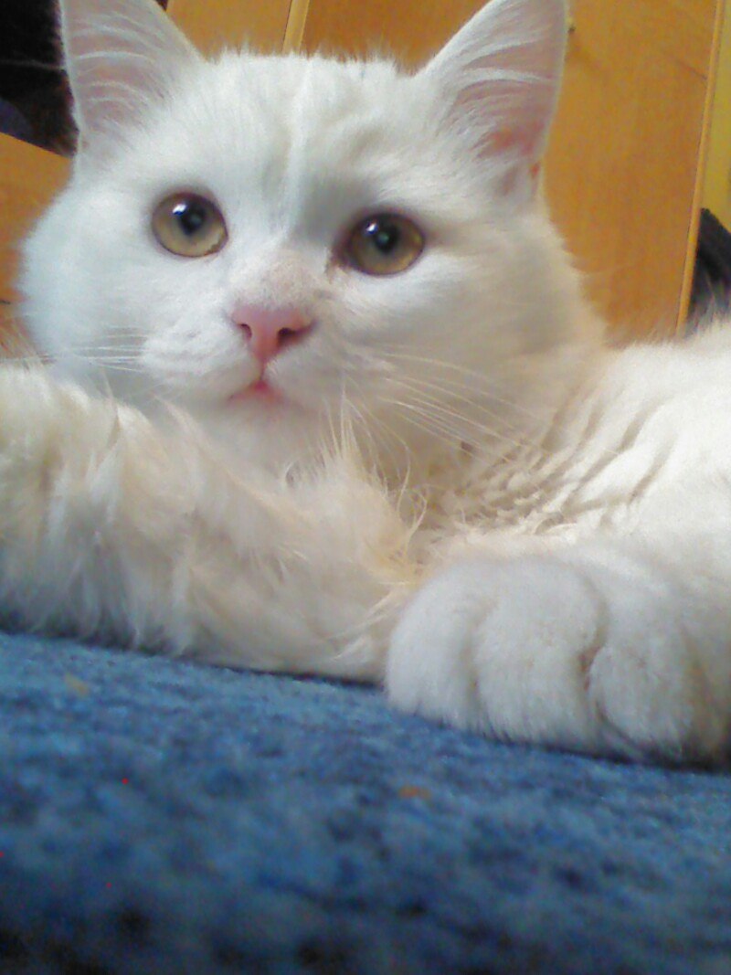 Зоя Федорова | Псков