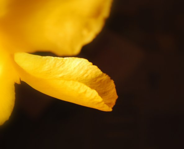 Ольга Полищук Джоновна | Milano