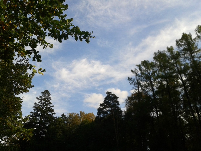 Евгения Мостовая | Москва