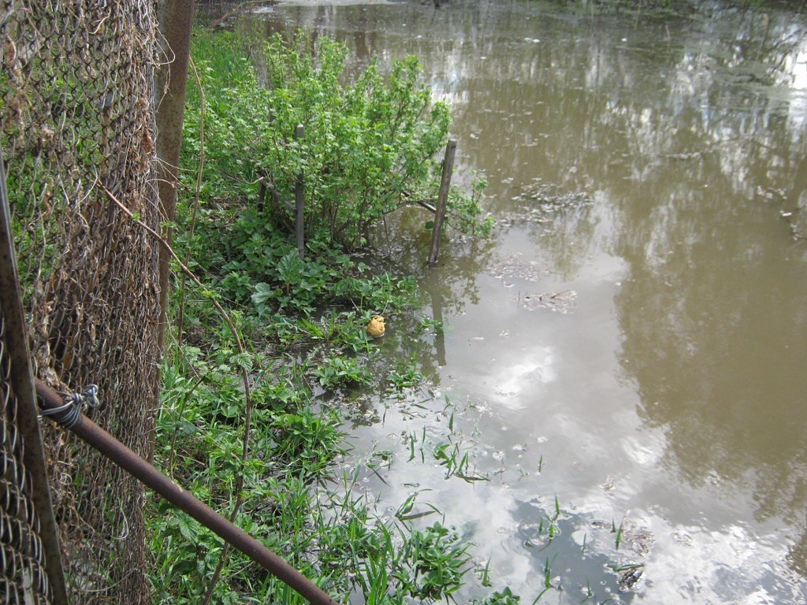 Ольга Федорцова Сергеевна | Новосибирск