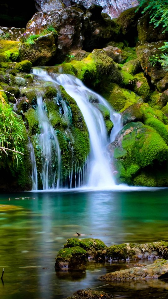 Павел Шанин «ShandR» | Douglas