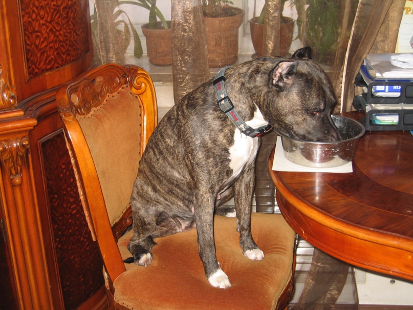 Алексей Васильев | Екатеринбург