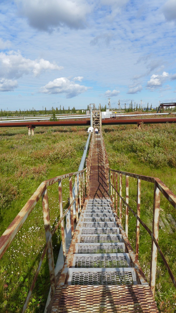 Николай Игнатов | Сыктывкар