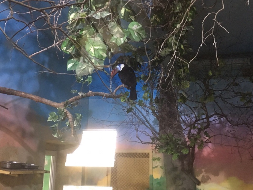 Сергей Матвиенко | Домодедово