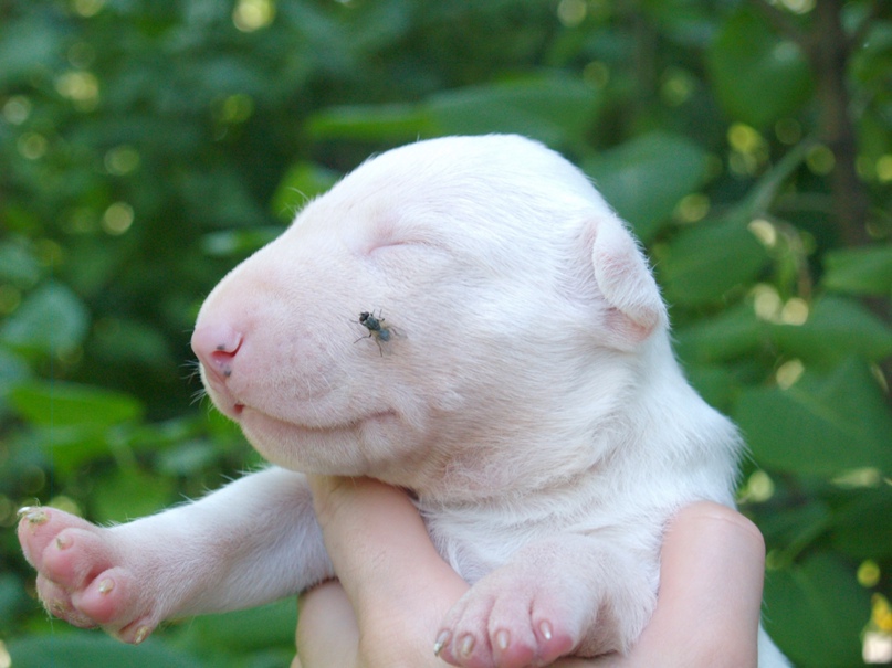 Анна Васильева | Киев