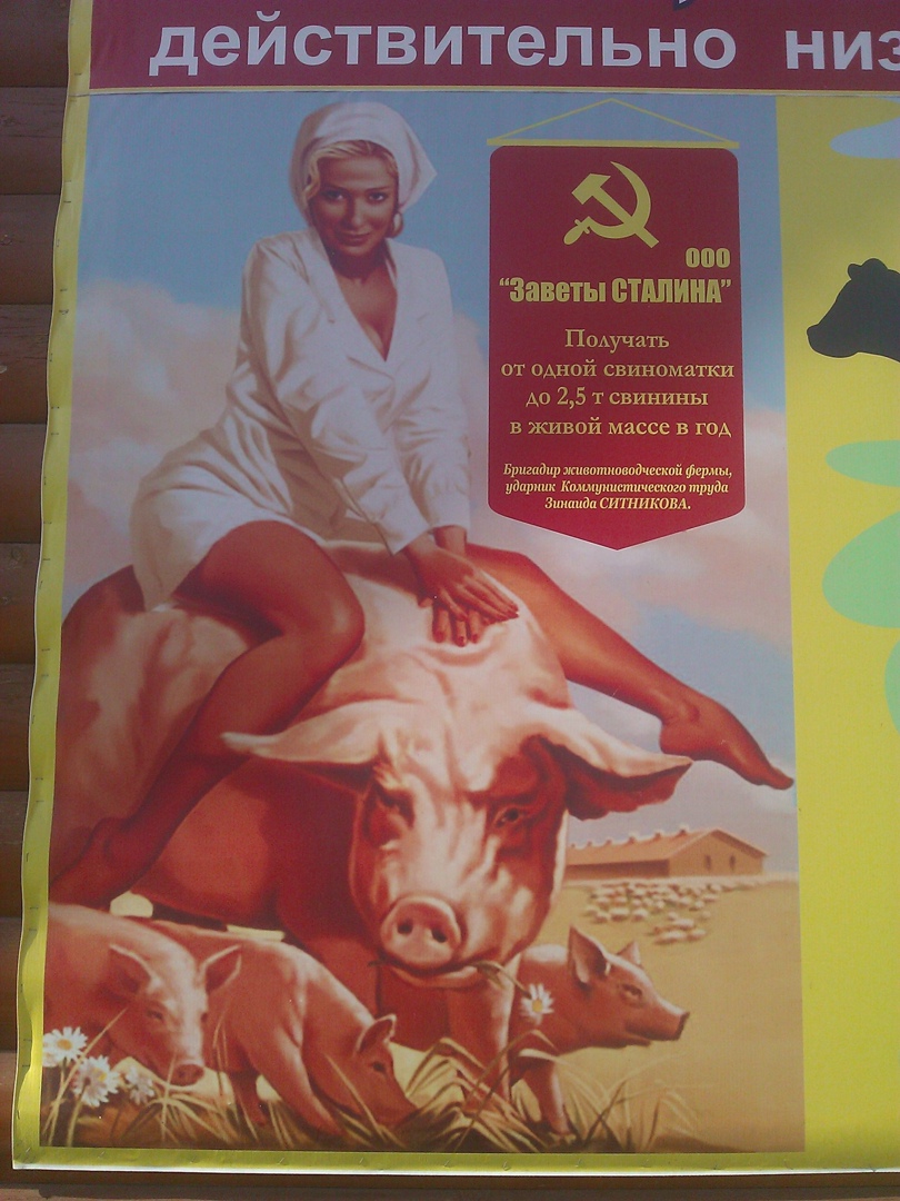 Дмитрий Тополев | Москва