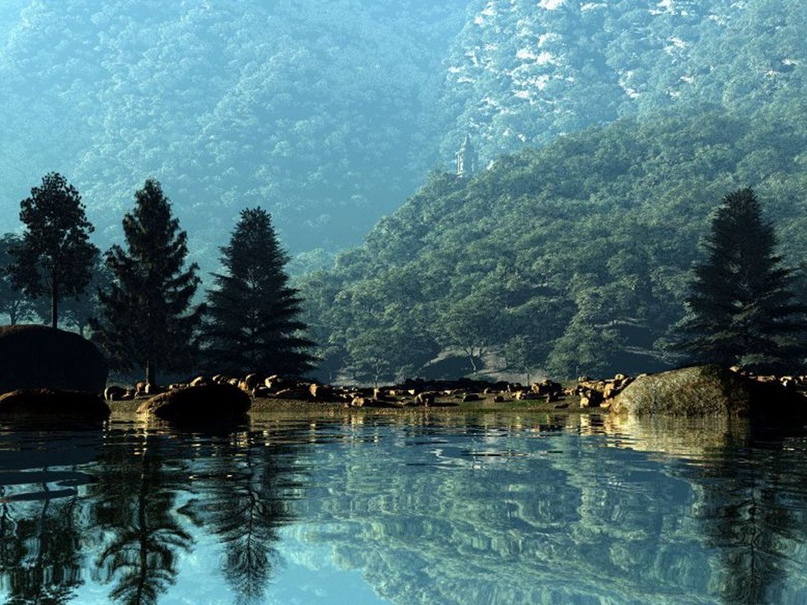 Алексей Вадимович | Санкт-Петербург