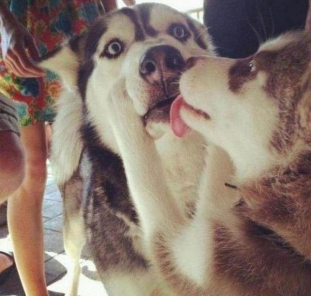 Лена Зотова | Нижний Новгород