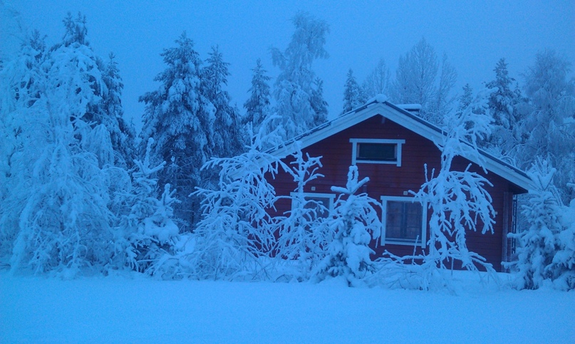 Антонина Губина | Санкт-Петербург