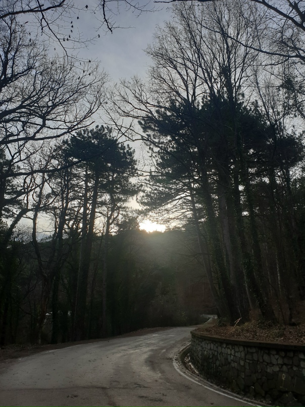 Екатерина Новицкая | Санкт-Петербург