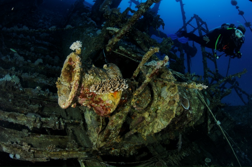 Сергей Шевчук | Санкт-Петербург