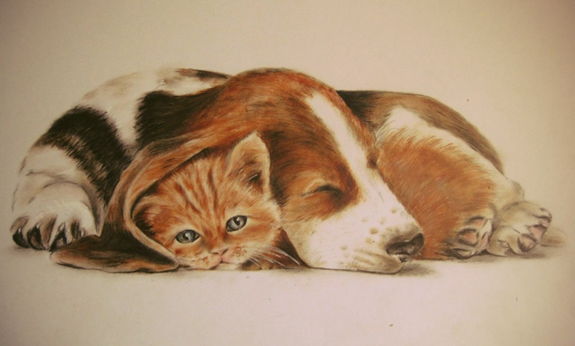 Надежда Бутакова | Москва