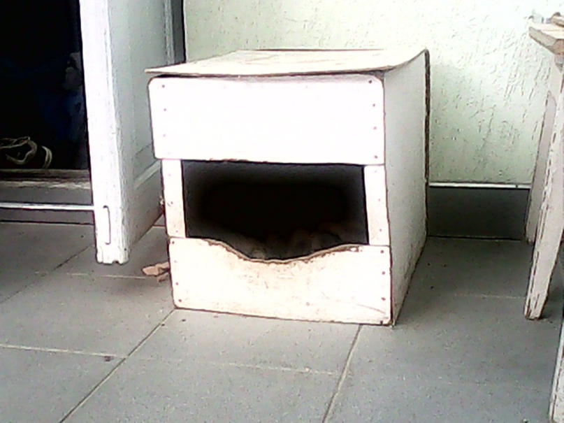 Сергей Кравчук ***Фартовый*** | Херсон