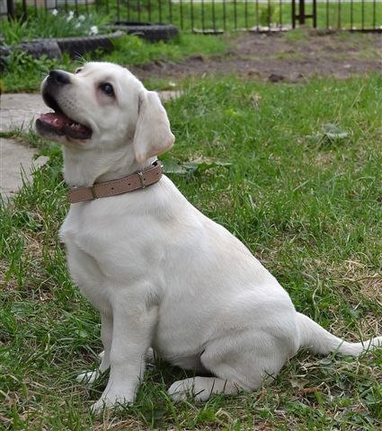 Ирина Трошина | Рязань