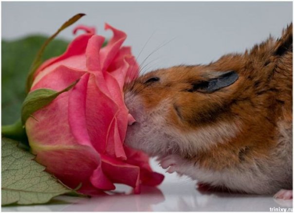 Натали Яковлева | Санкт-Петербург