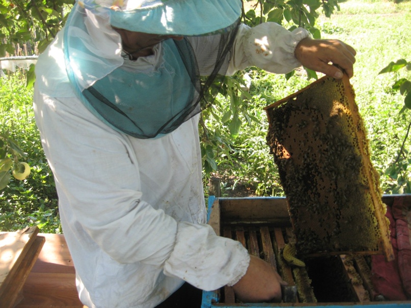 Евгений Бажан SHAH | Полтава