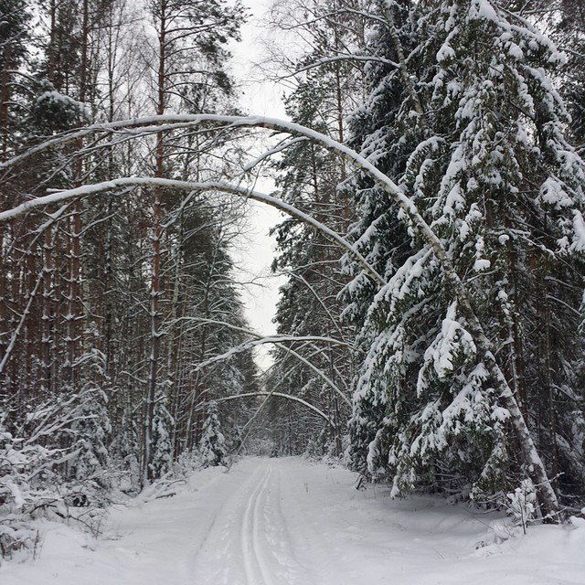 Игорь Петухов | Шатура