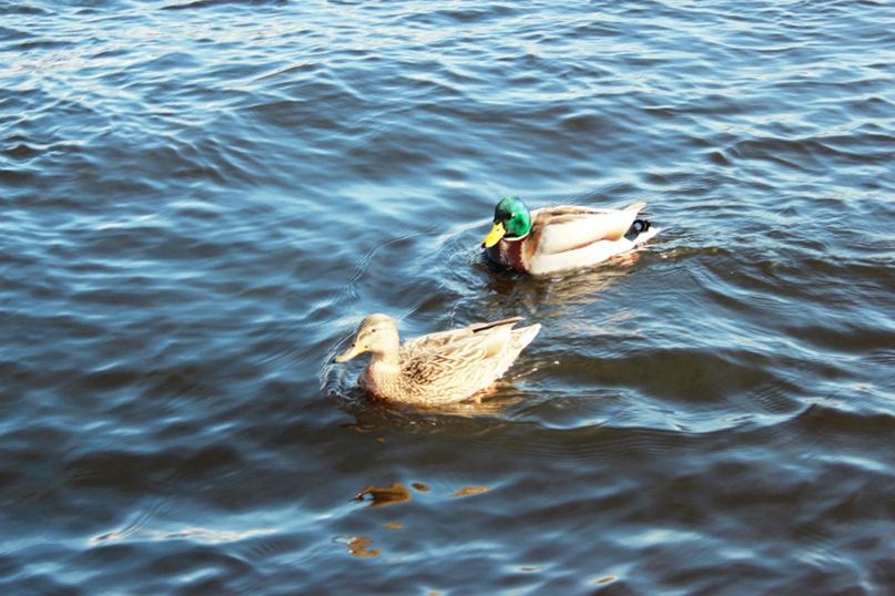 Юлия Васильченко | Москва