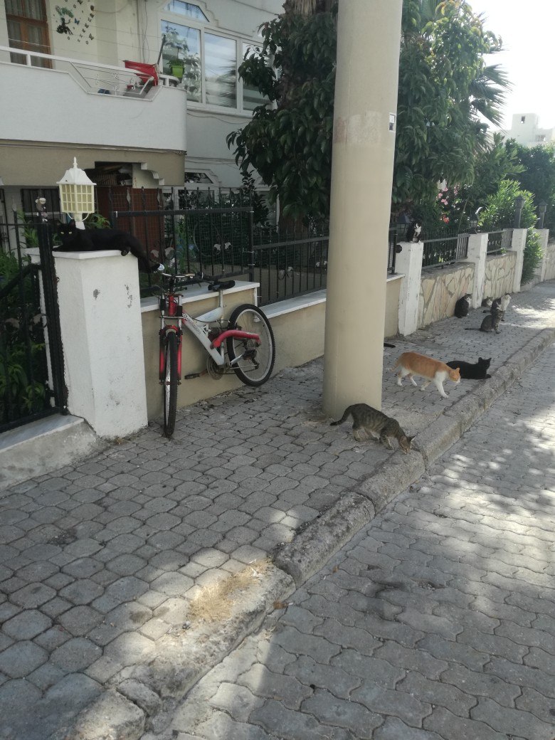 Екатерина Василькова | Санкт-Петербург