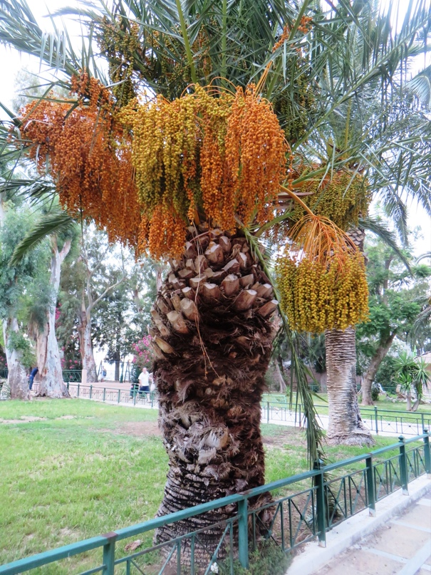 Ольга Уткина | Апатиты