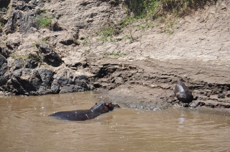 Екатерина Юсупова | Красногорск