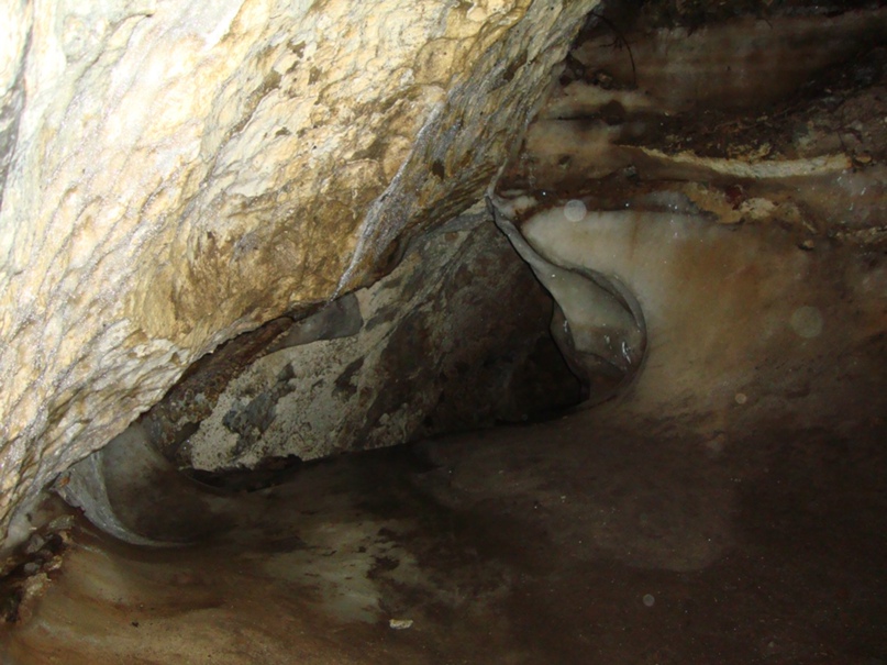 Ирина Громова | Санкт-Петербург