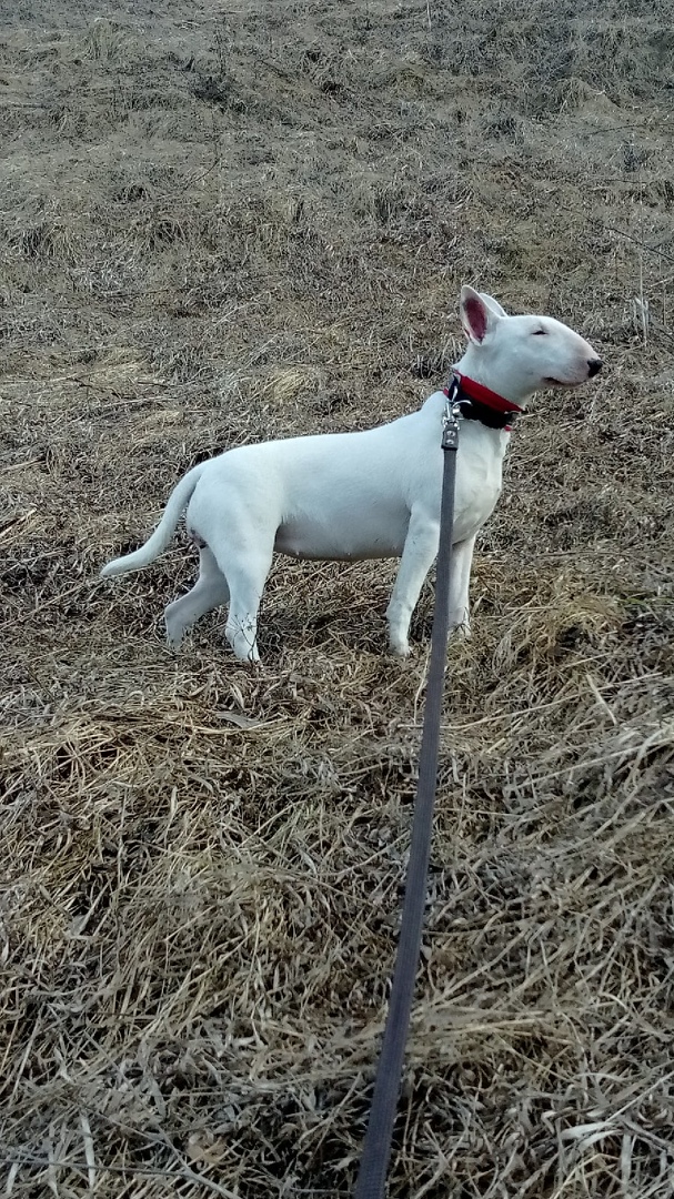 Ольга Малышева | Обнинск