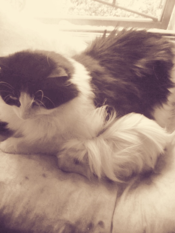 Анастасия Калинина | Санкт-Петербург