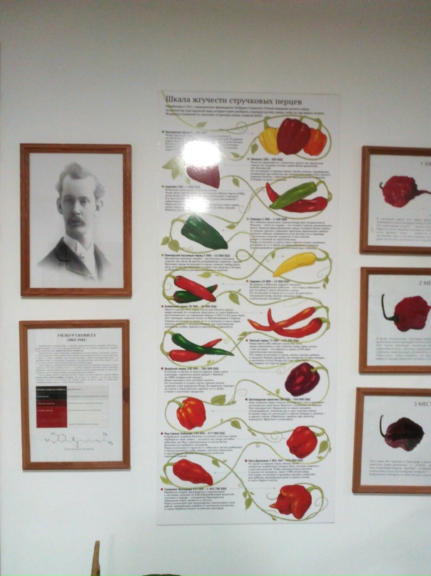 Екатерина Ефимова | Санкт-Петербург