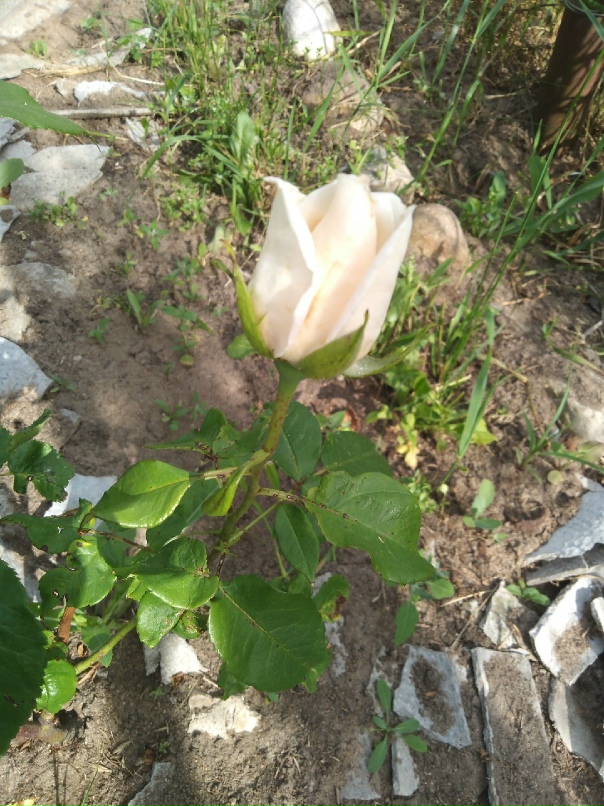 Татьяна Дудина | Дубровка (пгт)