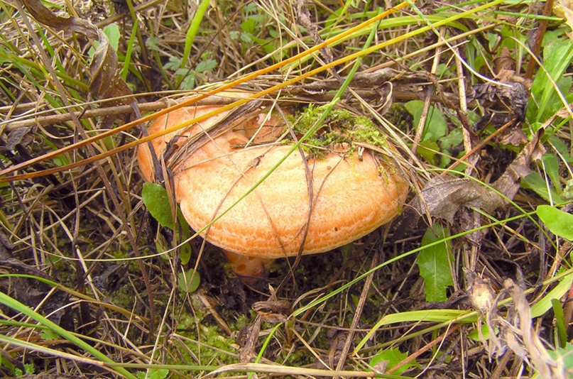 Владимир Широков | Нижний Новгород