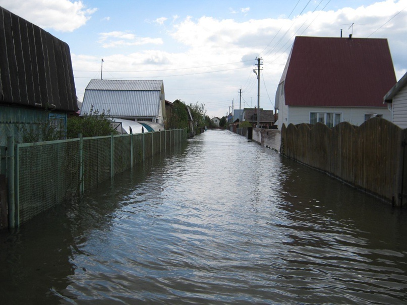 Ольга Федорцова Сергеевна | Новосибирск