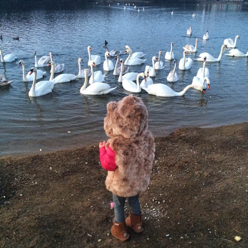 Татьяна Секацкая | Минск