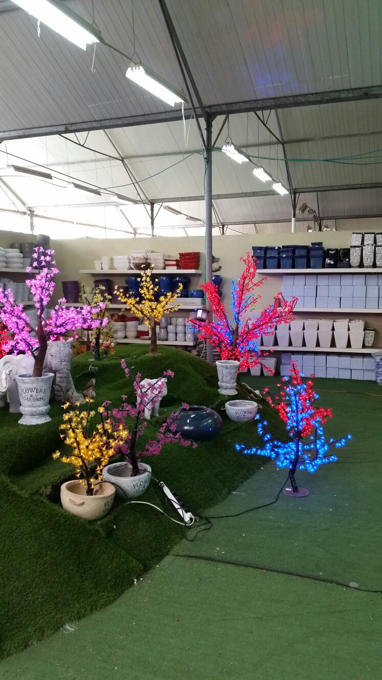 Наталья Полищук | Хайфа