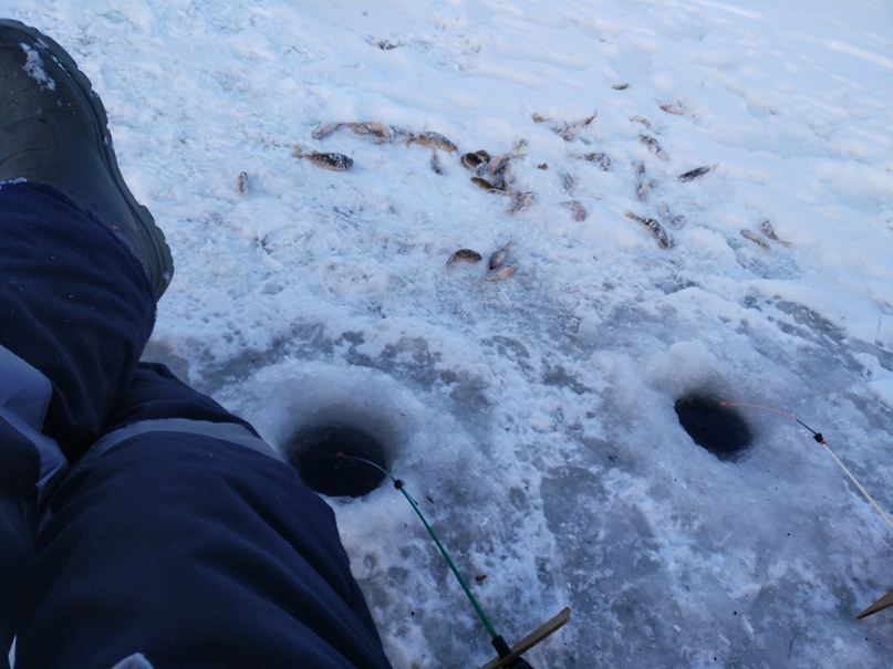 Алексей Устюгов 1ex@ aka Xedin aka aectann | Губкинский