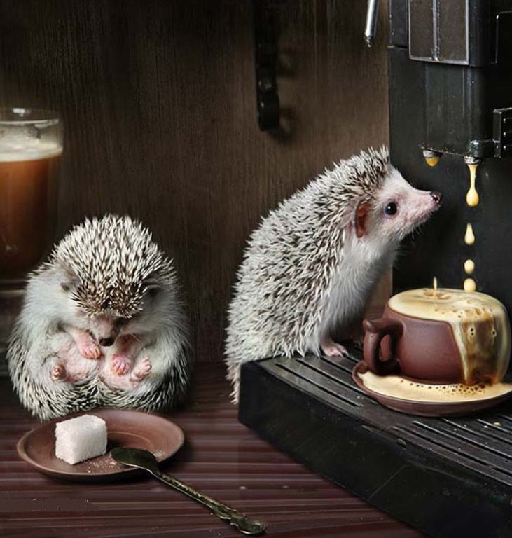 Яков Иванов | Санкт-Петербург