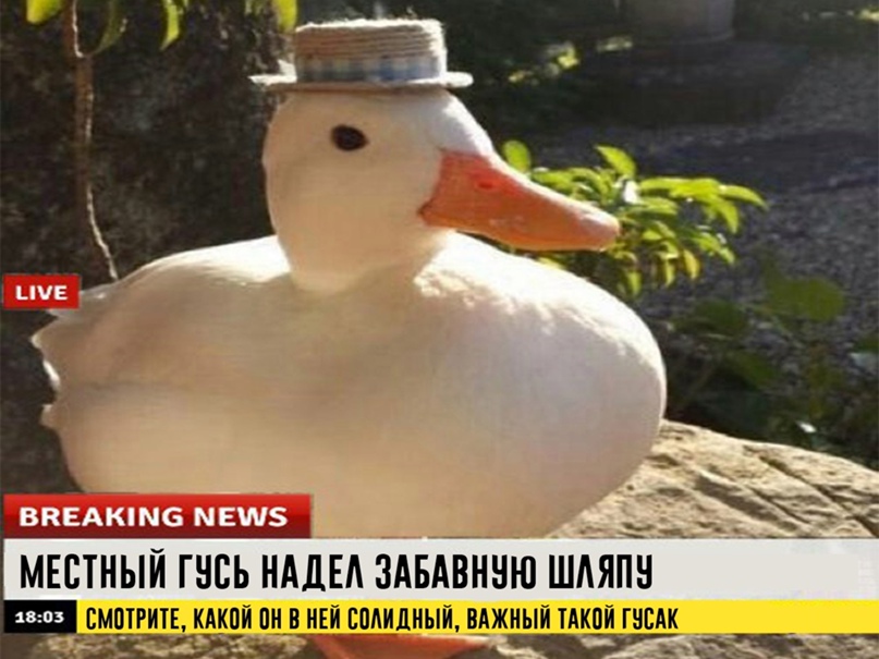 Максим Жилин |