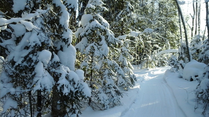 Елена Диментова | Королёв