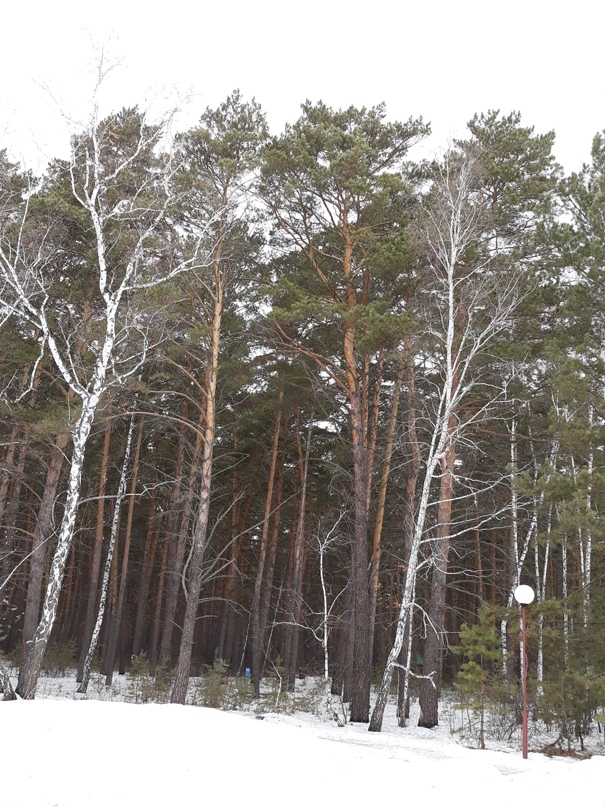 Олеся Татаркина | Омск