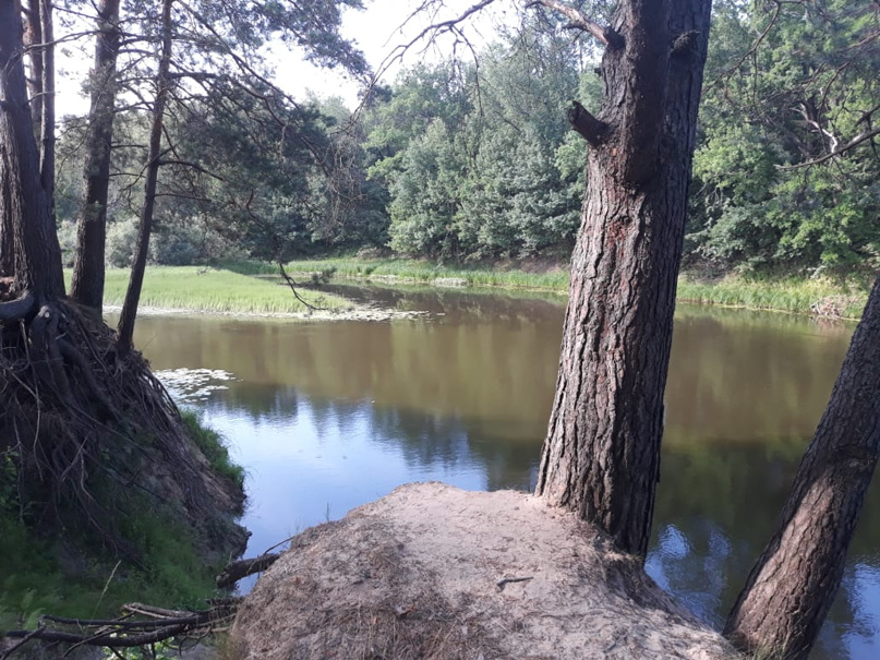 Олег Зайцев | Нижний Новгород