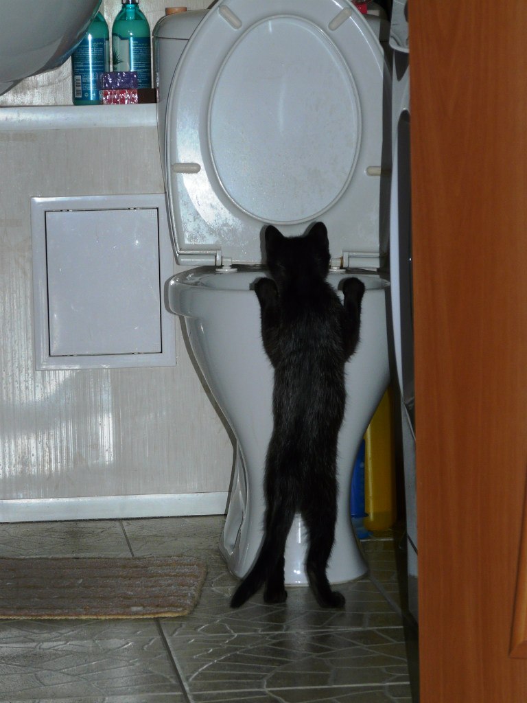 Ольга Соколова | Новокузнецк