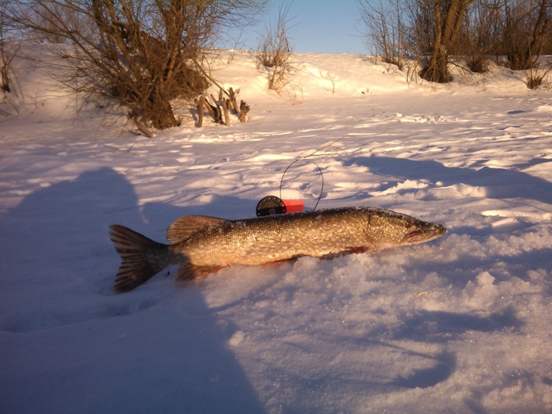 Виктор Морозов | Оренбург