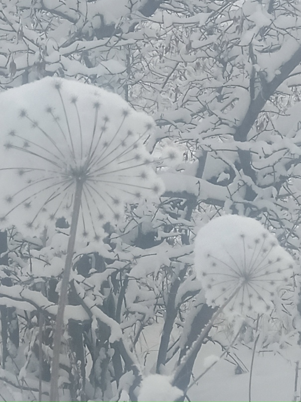 Инна Кравцова Кассандра Бенедикт | Саратов