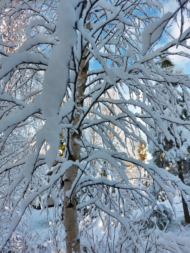 Ольга Сурова |