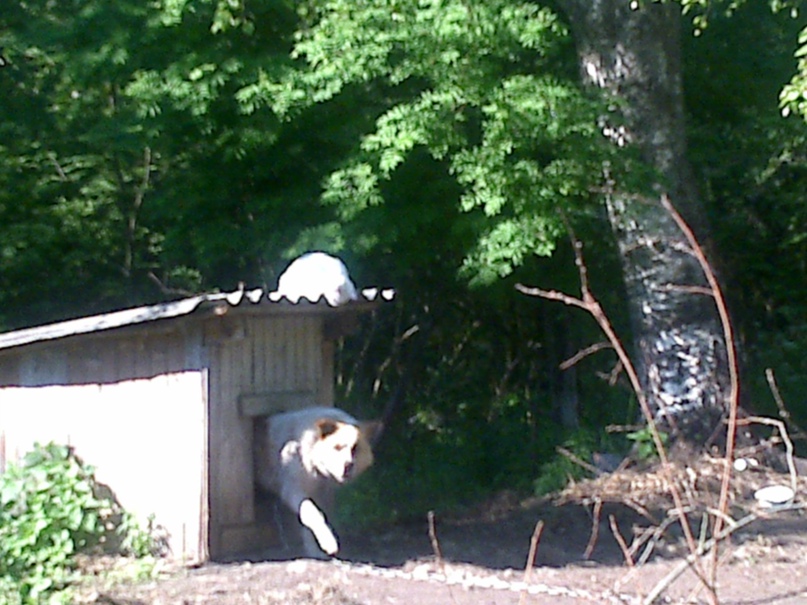 Дмитрий Жук | Санкт-Петербург